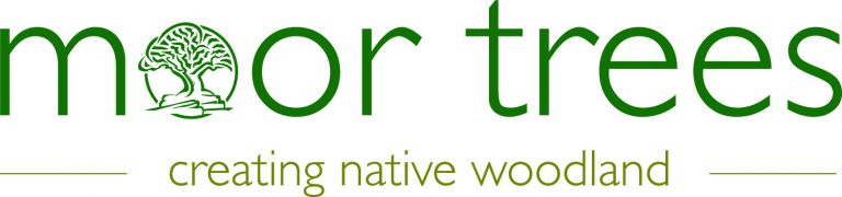 MT-Logo-strapline-Colour-1-768x180